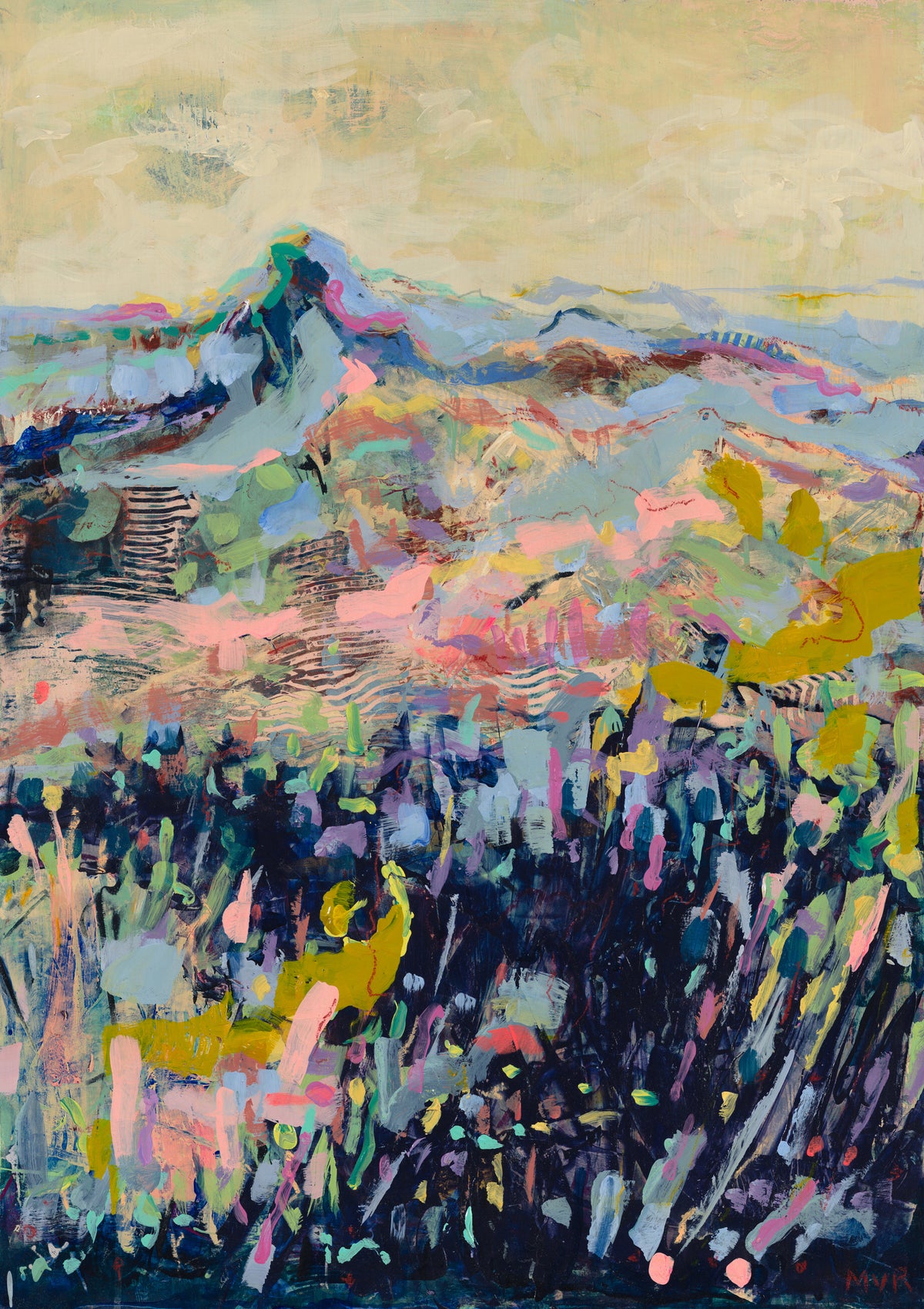 Silvermine after the fire 1