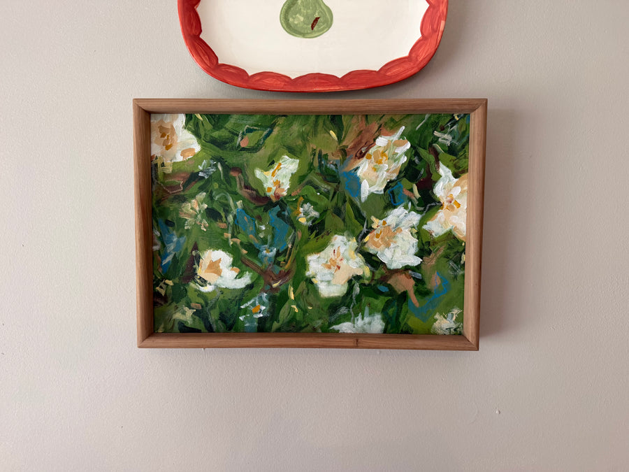 Abstract  Blooms