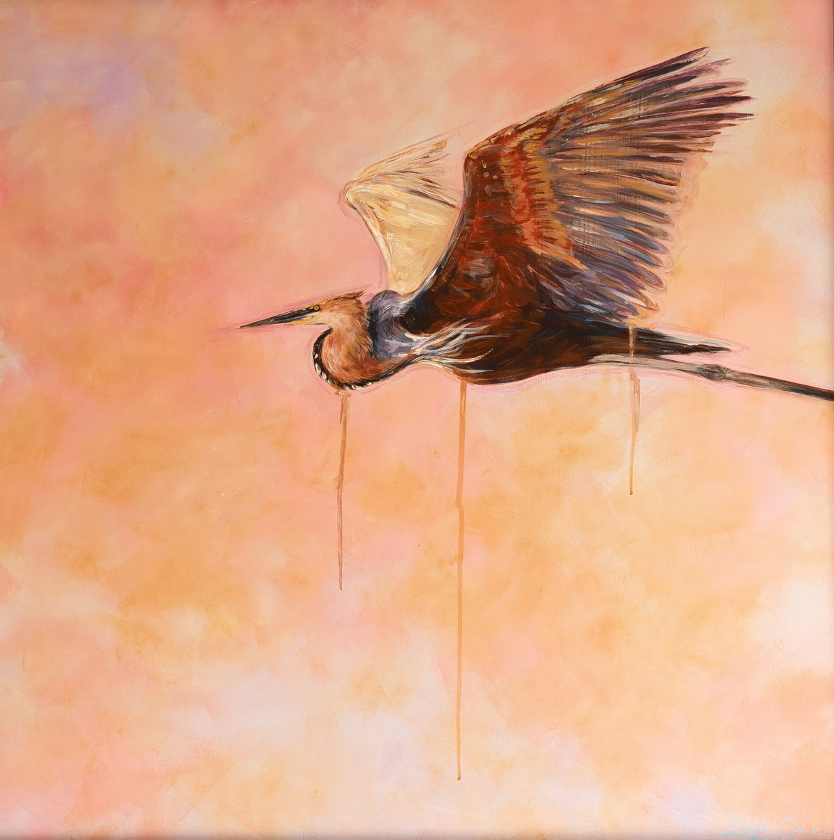 Goliath Heron